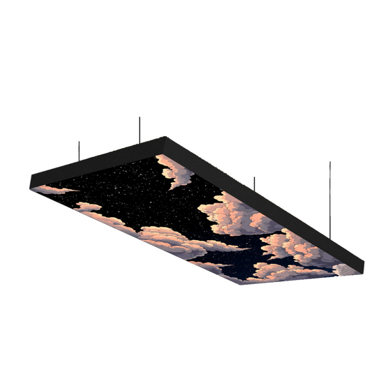 Printed Series Ceiling Absorption Panels (2.5'x5'x3")