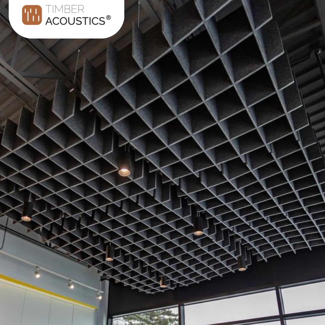 Acoustic Ceiling Grid Cloud for Sound Absorption