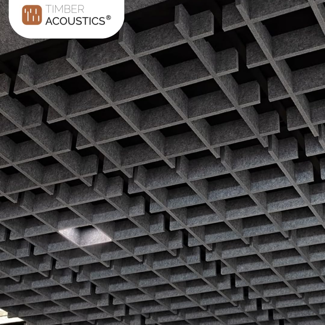 Acoustic Ceiling Grid Cloud for Sound Absorption