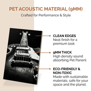Noise Absorber Acoustic Art Wall Panels for  for Music Studio, 48”x32”