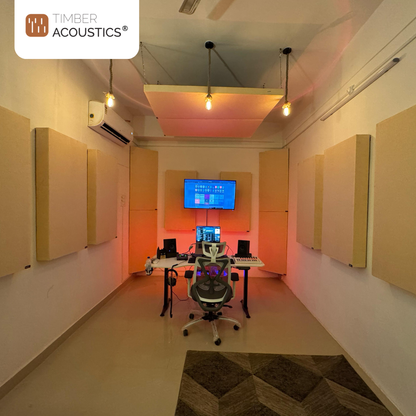 Ceiling Absorption Panels (Set of 2)
